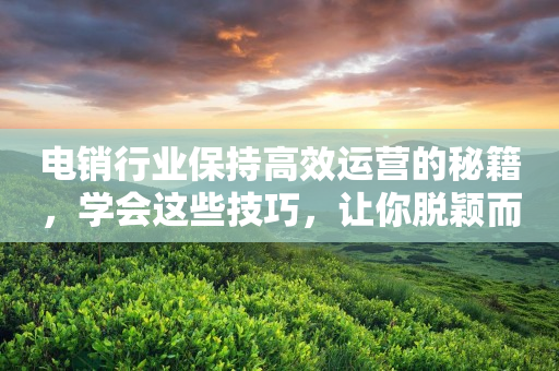 電銷行業保持高效運營的秘籍，學會這些技巧，讓你脫穎而出