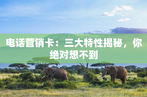電話營(yíng)銷卡：三大特性揭秘，你絕對(duì)想不到