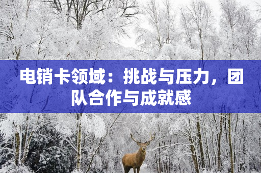 電銷卡領域：挑戰與壓力，團隊合作與成就感