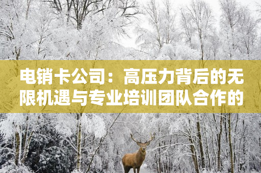 電銷卡公司：高壓力背后的無限機遇與專業培訓團隊合作的力量