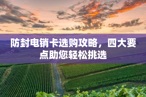 防封電銷卡選購攻略，四大要點助您輕松挑選