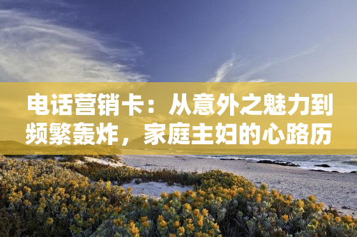 電話營銷卡：從意外之魅力到頻繁轟炸，家庭主婦的心路歷程