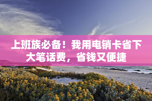 上班族必備！我用電銷卡省下大筆話費(fèi)，省錢又便捷