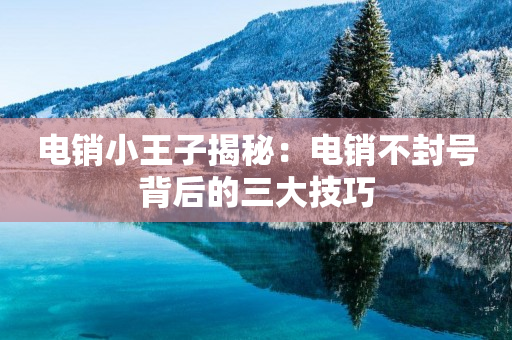電銷小王子揭秘：電銷不封號背后的三大技巧