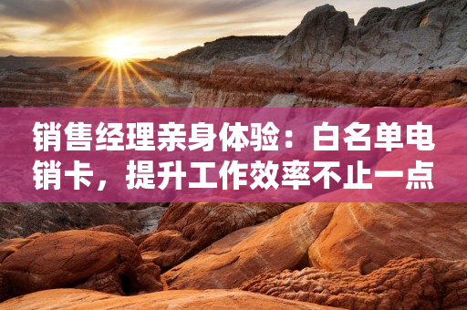 銷售經理親身體驗：白名單電銷卡，提升工作效率不止一點點