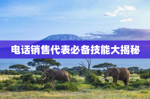 電話銷售代表必備技能大揭秘
