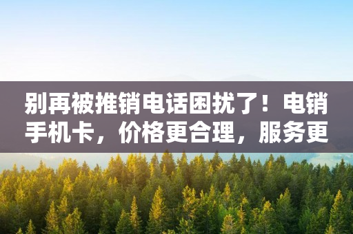 別再被推銷電話困擾了！電銷手機(jī)卡，價(jià)格更合理，服務(wù)更優(yōu)質(zhì)