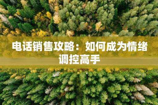 電話銷售攻略：如何成為情緒調控高手